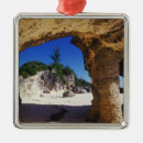 Search for bermuda christmas tree decorations Beach