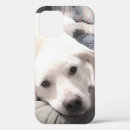 Search for couch iphone cases Puppy