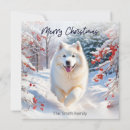 Search for samoyed dog postcards Merry christmas