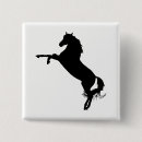 Search for arabian horse accessories Animal