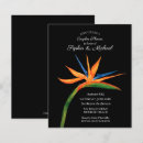 Search for bird 4x5 invitations Black