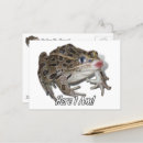 Search for love kiss postcards Frog