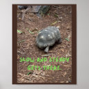 Search for steady posters Slow