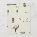 Search for third world postcards Engraved