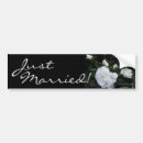 Search for white rose bumper stickers Roses
