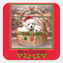 Search for colorful decor stickers Decorative