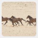 Search for running wild stickers Desert