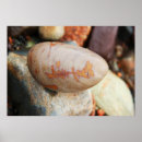 Search for rock on posters Coast