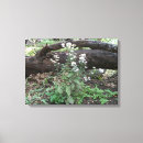 Search for environment canvas prints Flowers