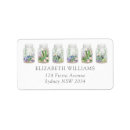 Search for fiesta return address labels Cactus