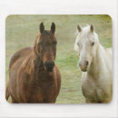 Search for buddy mouse mats Photography