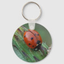 Search for lady bug key rings Nature