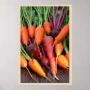 Search for beet posters Carrots