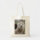 Search for alpaca my bags Adventure