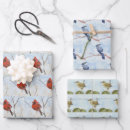 Search for songbird wrapping paper Cardinal