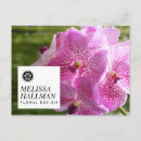 Search for florists postcards Decorator
