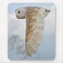 Search for barn owl mouse mats Raptor