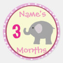 Search for month baby stickers Monthly