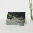 Search for zoos cards Photography