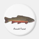 Search for brook magnets Fish