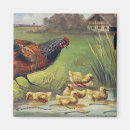 Search for poultry magnets Vintage