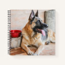 Search for german shepherd dog notebooks Panting