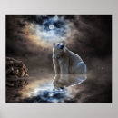 Search for polar bear posters Big