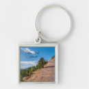 Search for passenger key rings Railroad