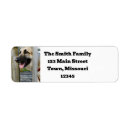 Search for german shepherds return address labels Canine