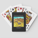 Search for roadrunner Nature