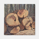 Search for logging magnets Timber