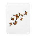 Search for monarch magnets Flying
