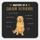 Search for cute golden retriever puppy stickers Canine
