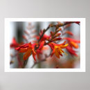 Search for beautiful garden posters Pretty