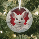 Search for rabbit christmas tree decorations Winter