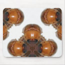 Search for gatherings mouse mats Insects