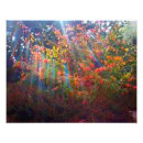 Search for abstract sun photography Nature