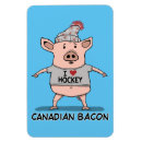 Search for hogs magnets Piggy