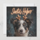 Search for border collie puppy christmas cards Xmas
