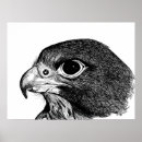 Search for peregrination posters Eagle