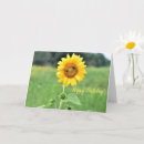 Search for sunflower birthday cards Blank inside
