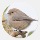 Search for pear tree stickers Wildlife