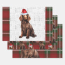 Search for spaniel wrapping paper Pets