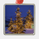 Search for park christmas tree decorations United states