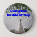 Search for peacock accessories Birthday
