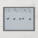 Search for canadian winter postcards Bird