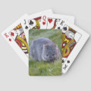 Search for australia playing cards Cute