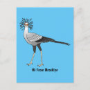Search for secretary postcards Sagittarius serpentarius