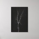 Search for tree bark canvas prints Trees