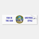 Search for greyhound bumper stickers Animal lover